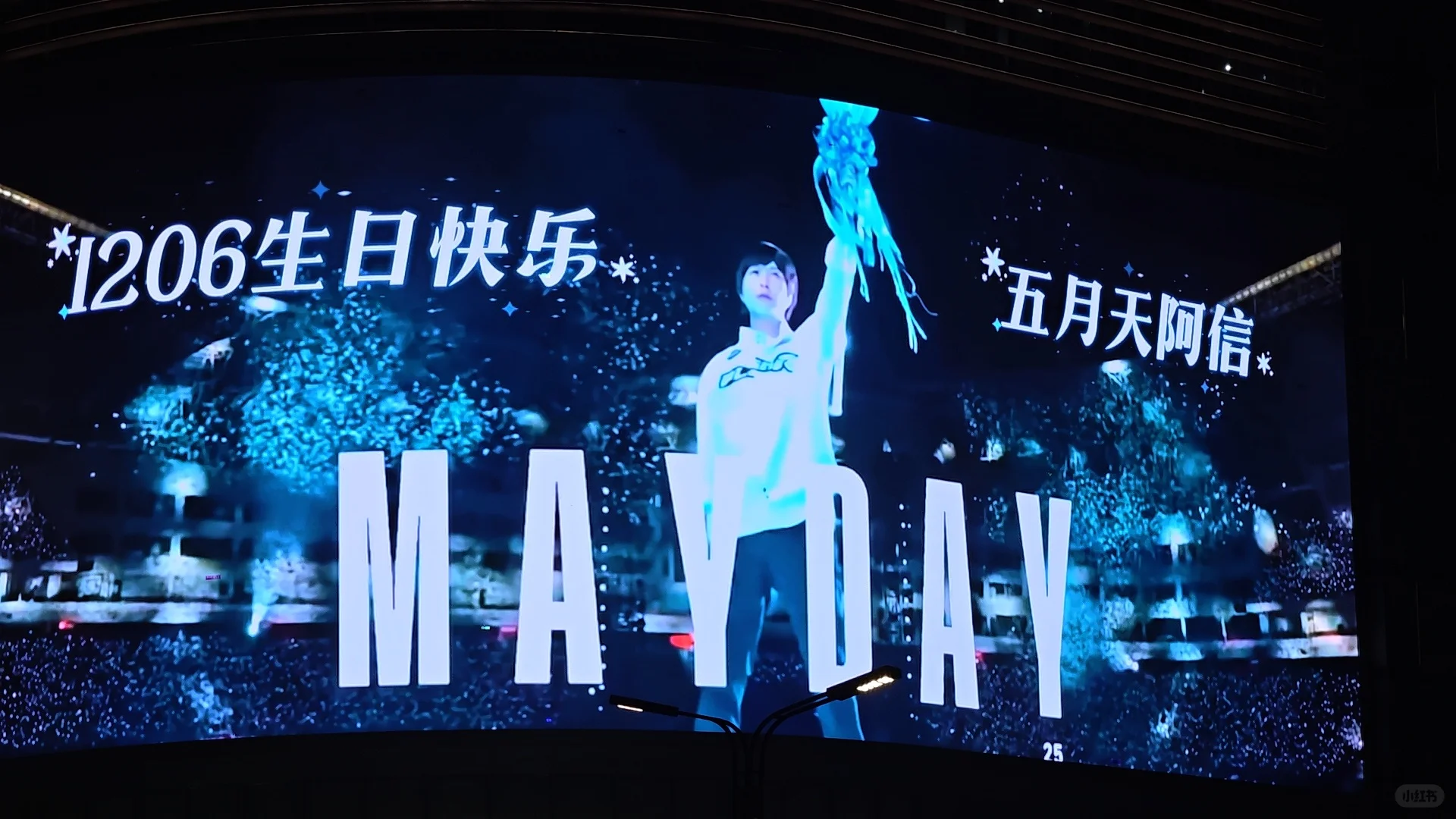 陈府寿宴洛阳分宴🎂