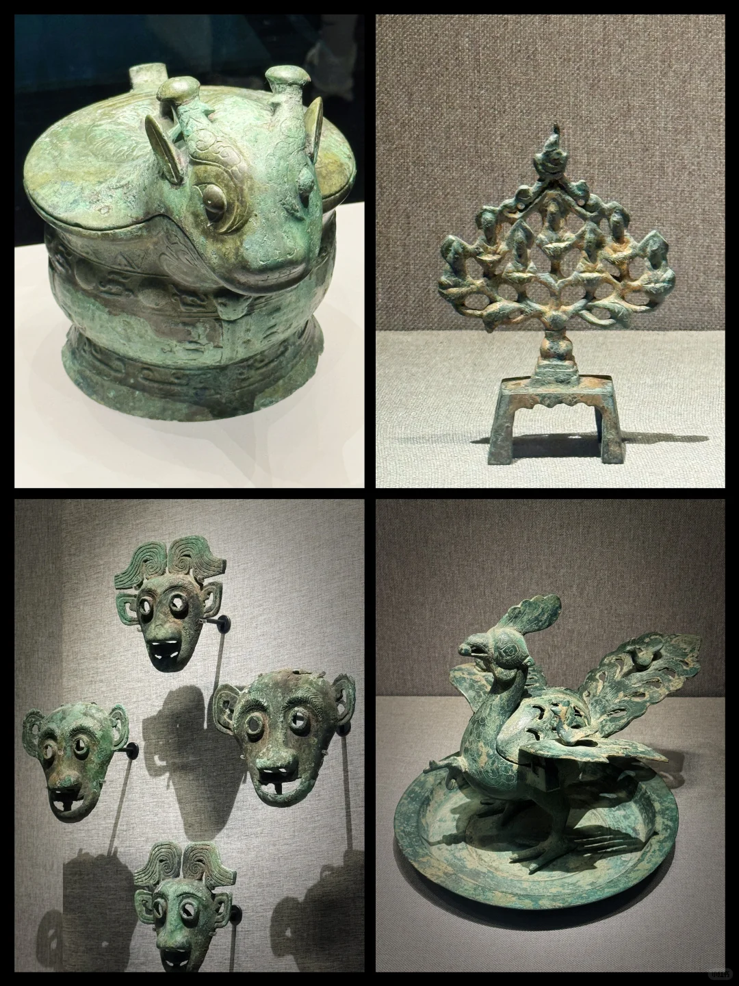 郑州两三事：蜜雪总部喝水+河南博物院看狗