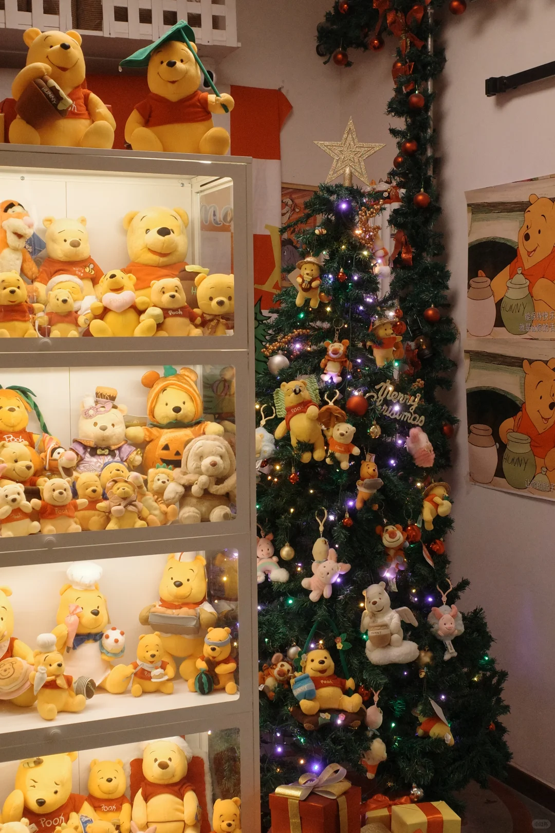 郑州芭菲｜微醺黑森林🍷