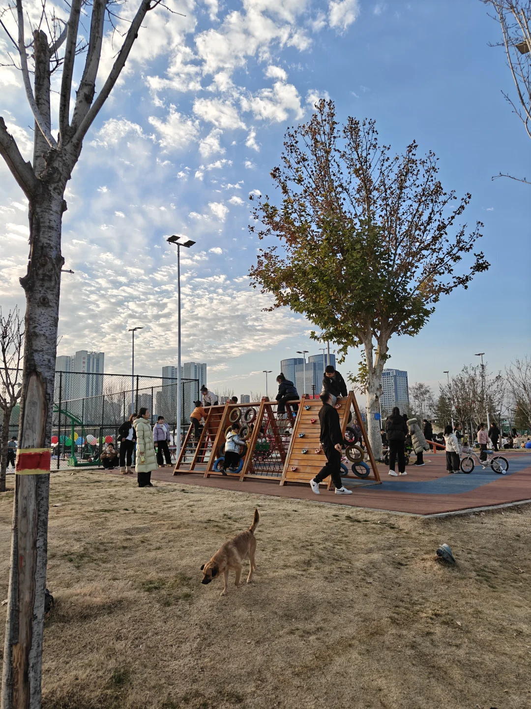 洛阳周末放松还得是公园啊～