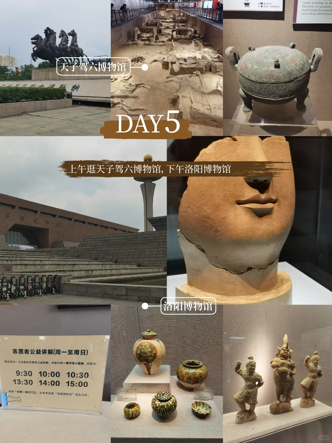 河南|郑州-洛阳-开封7天6晚旅行攻略干货