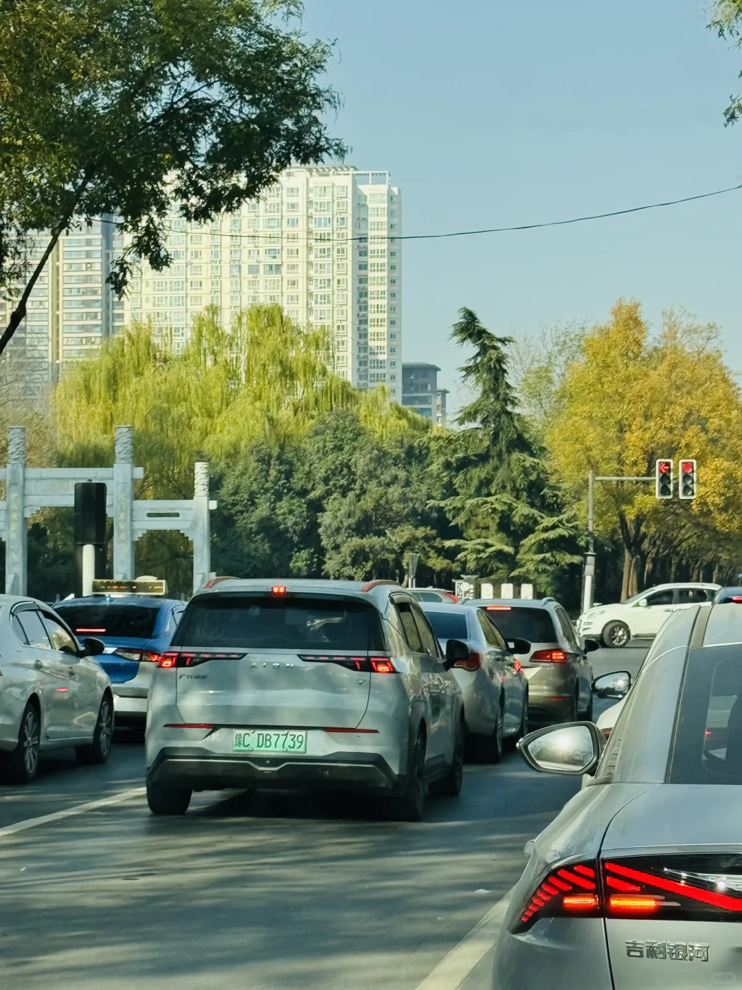 洛阳，绿化带比车道还宽啊