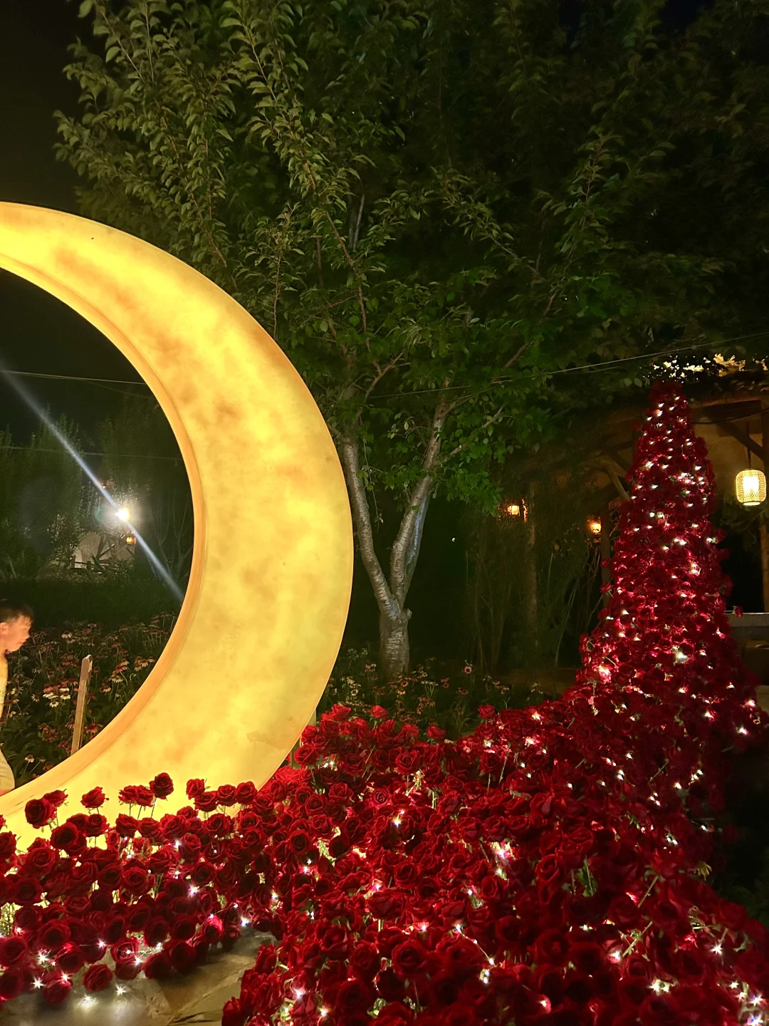 2025最喜欢的城市！郑州三天两夜游玩攻略📝