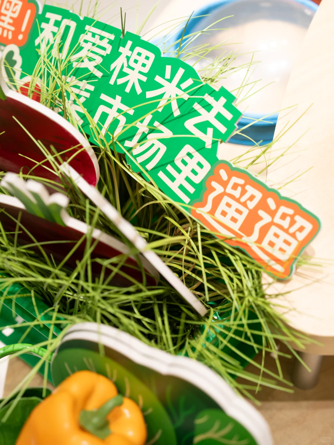 爱棵米户外补给站⛰郑州正弘城