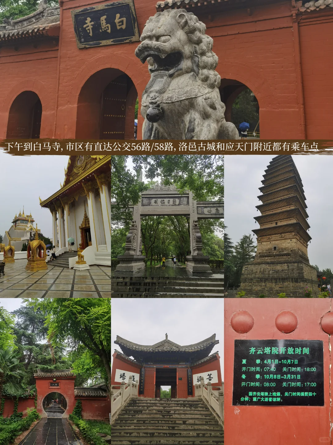 河南|郑州-洛阳-开封7天6晚旅行攻略干货