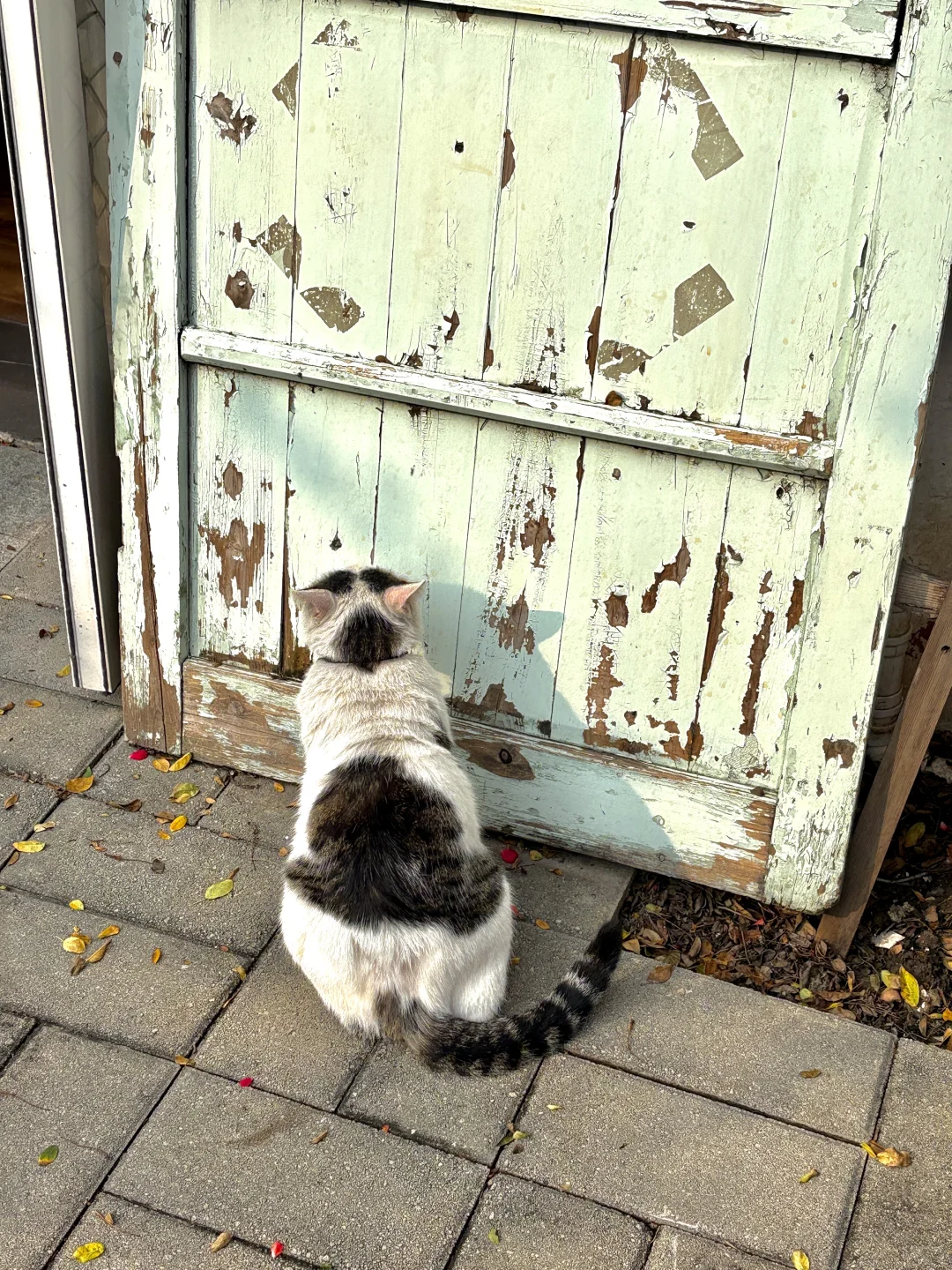 女大郑州一日游攻略📝 人均200米