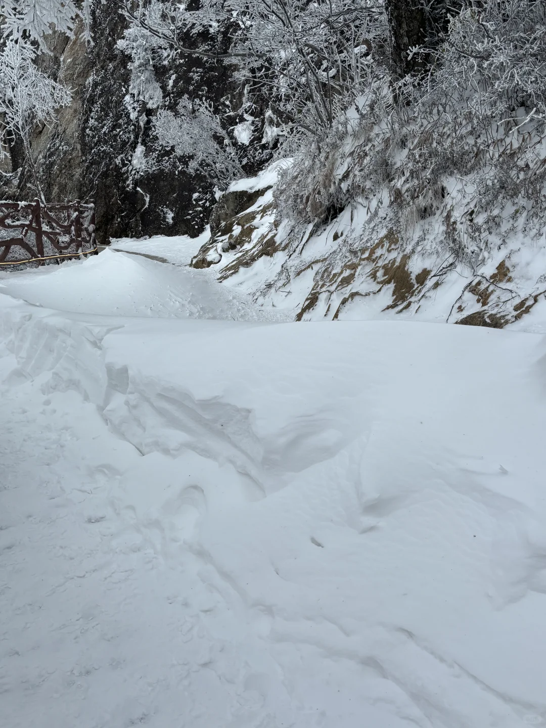 2025年11月17日老君山下雪了！！！