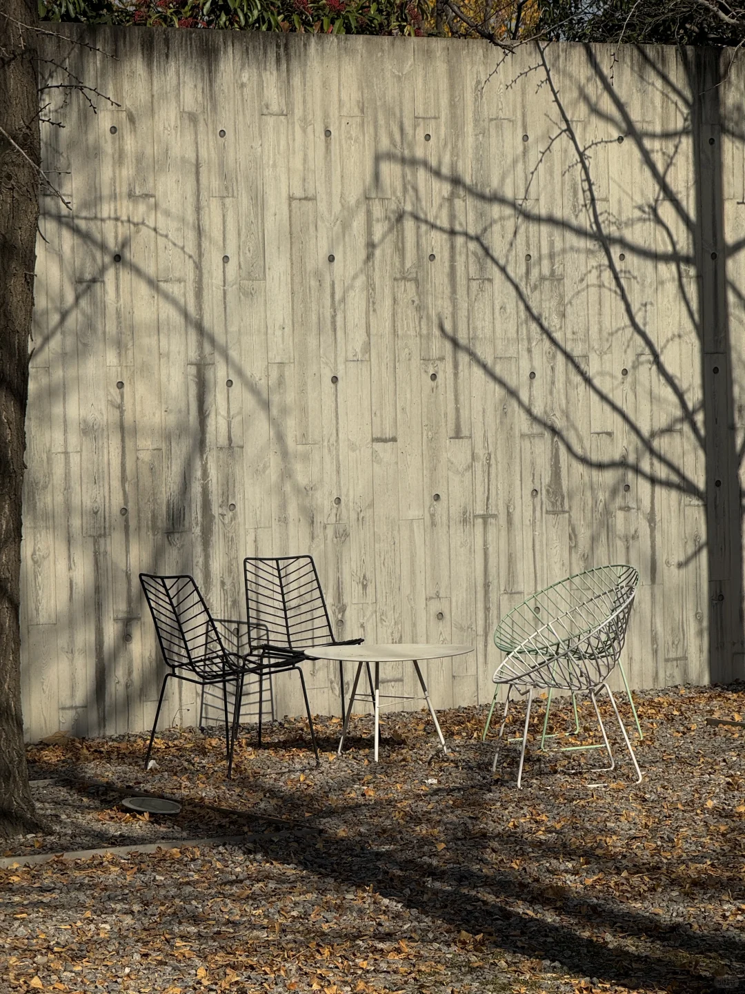 郑州🍁这个初冬一定要去一次普罗理想国！！！