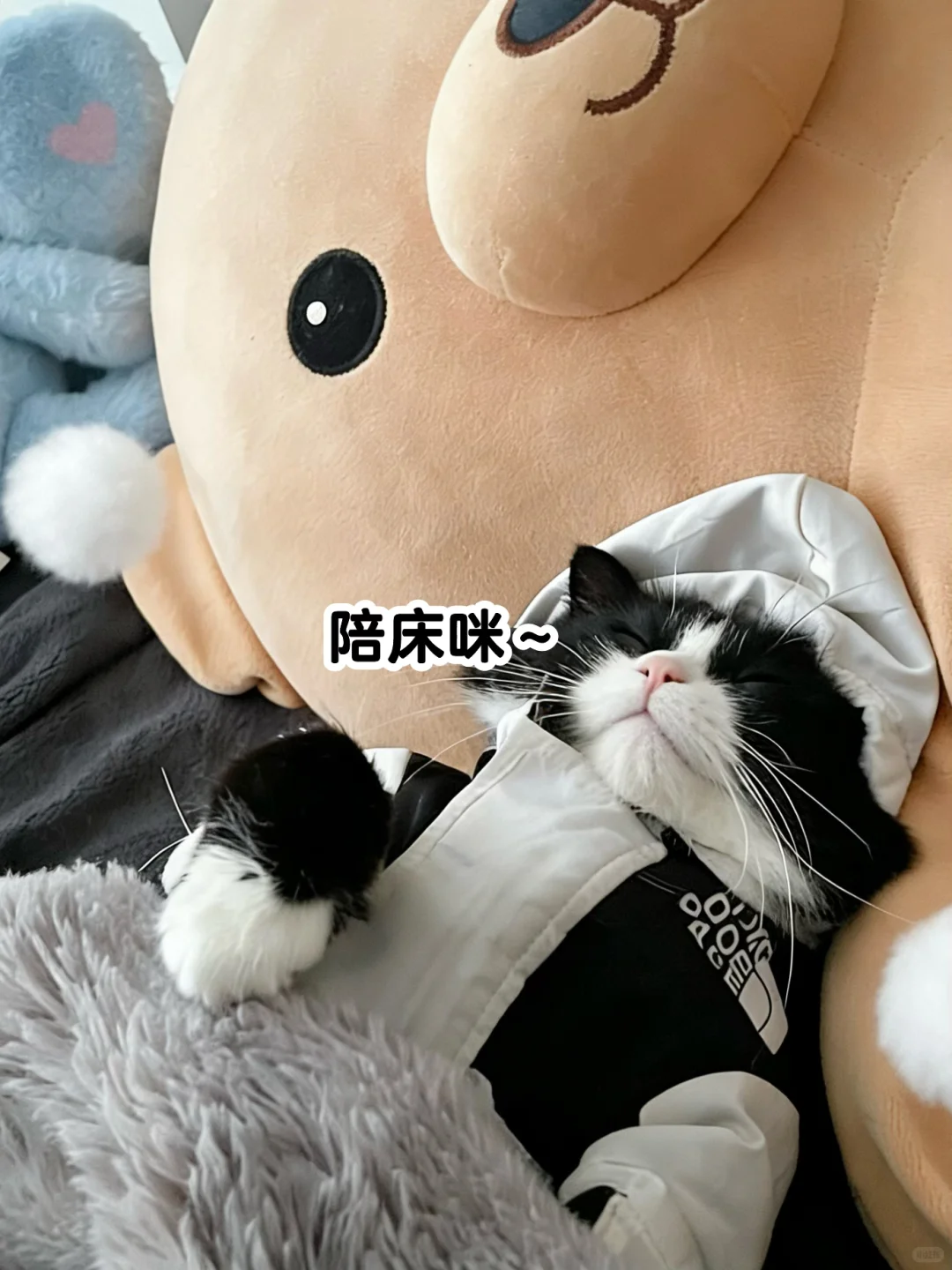 郑州80块一晚的女生小窝，居然送免费疗愈？！