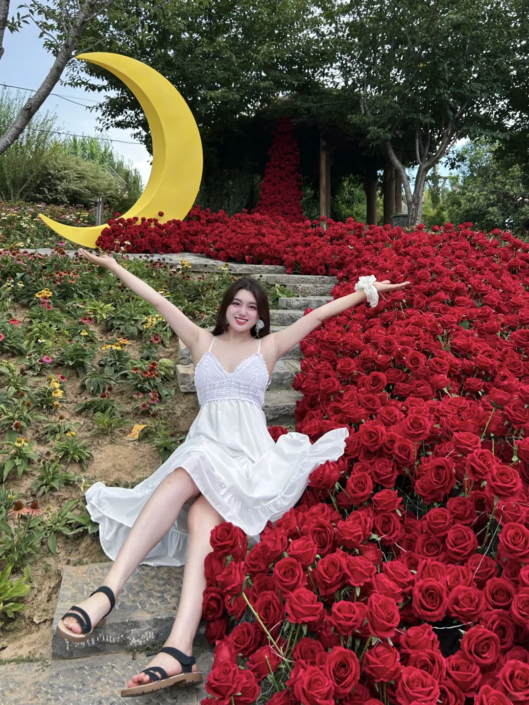 2025最喜欢的城市！郑州三天两夜游玩攻略📝