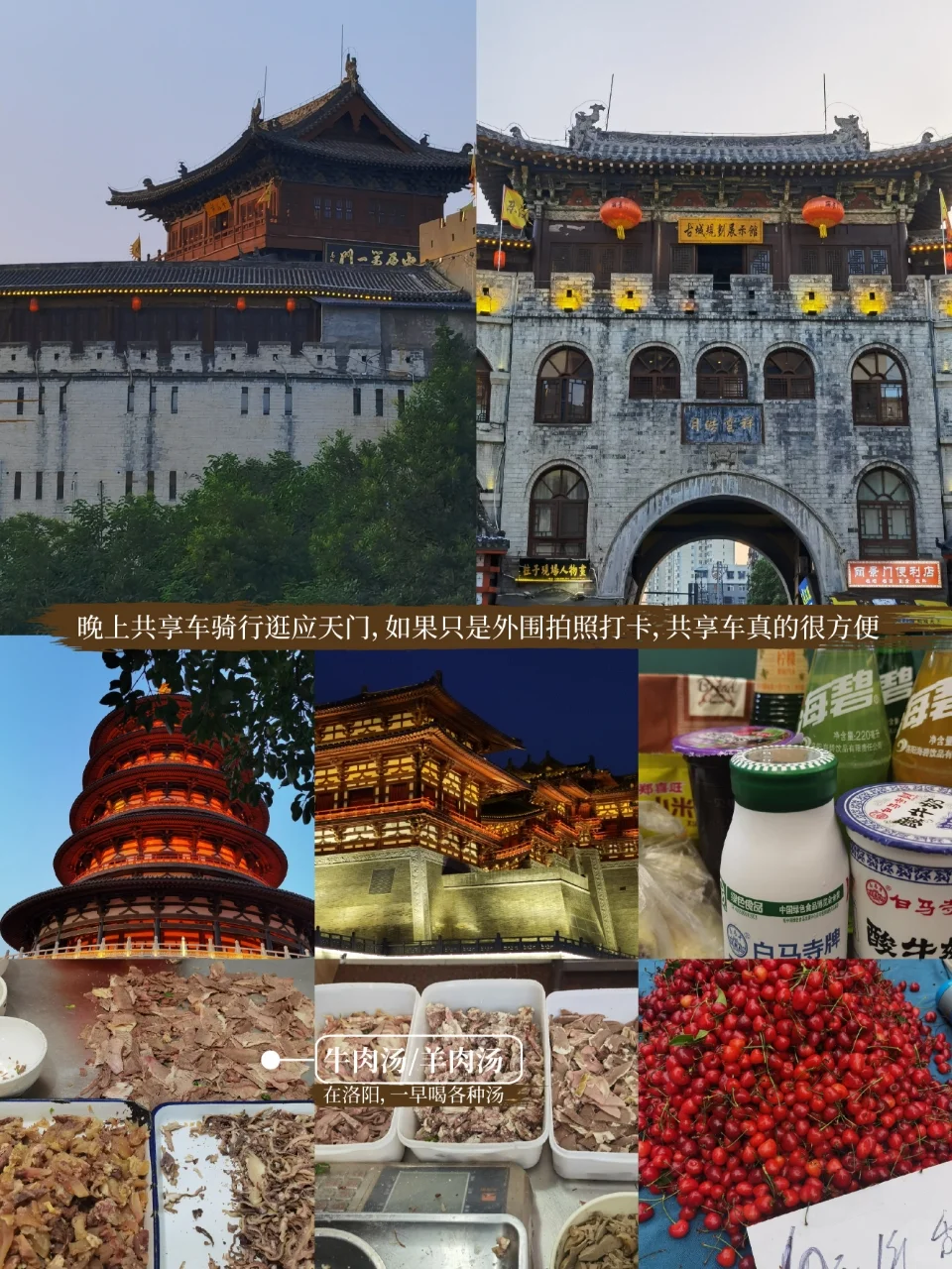河南|郑州-洛阳-开封7天6晚旅行攻略干货