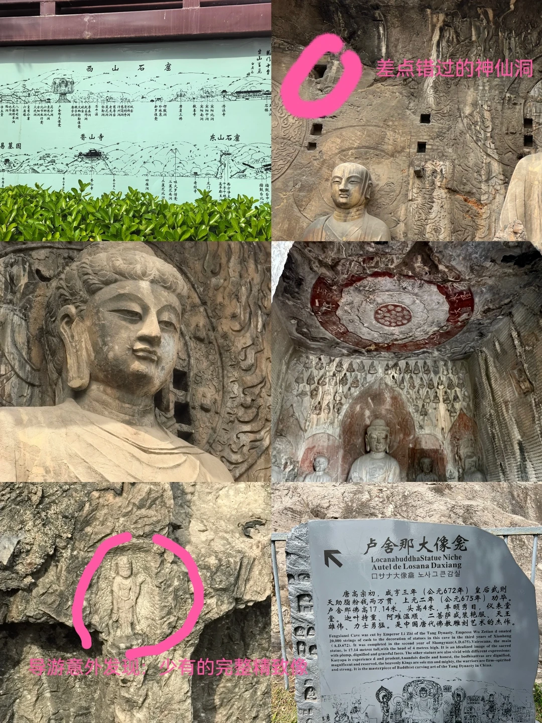 洛阳两日亲子游 看这篇就够啦 不踩坑不废腿