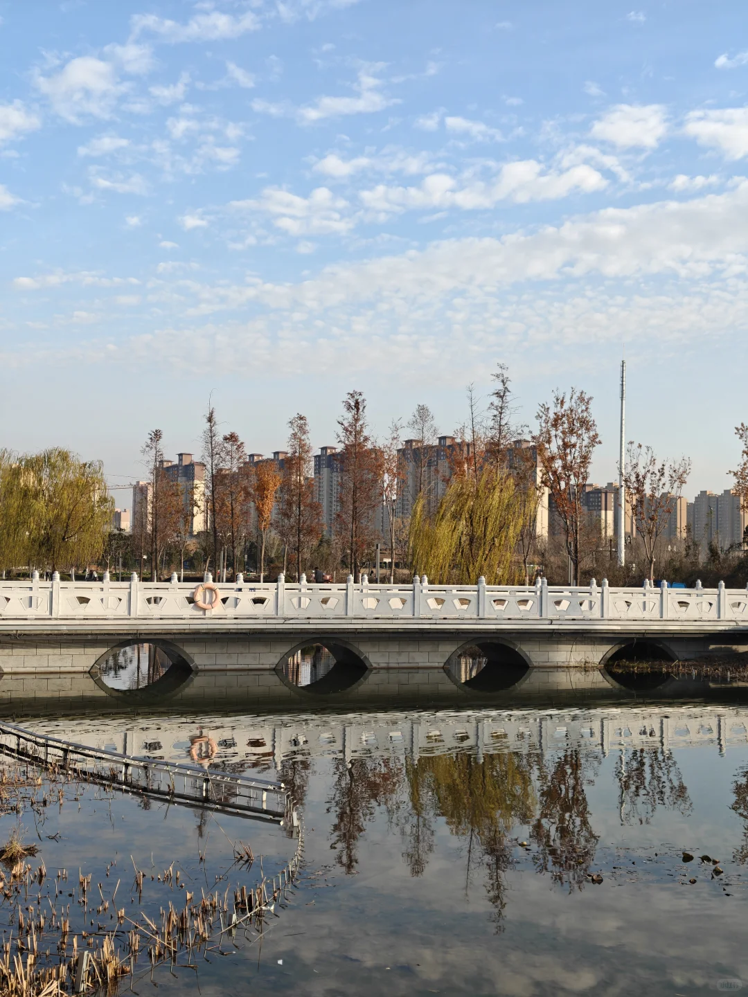 洛阳周末放松还得是公园啊～