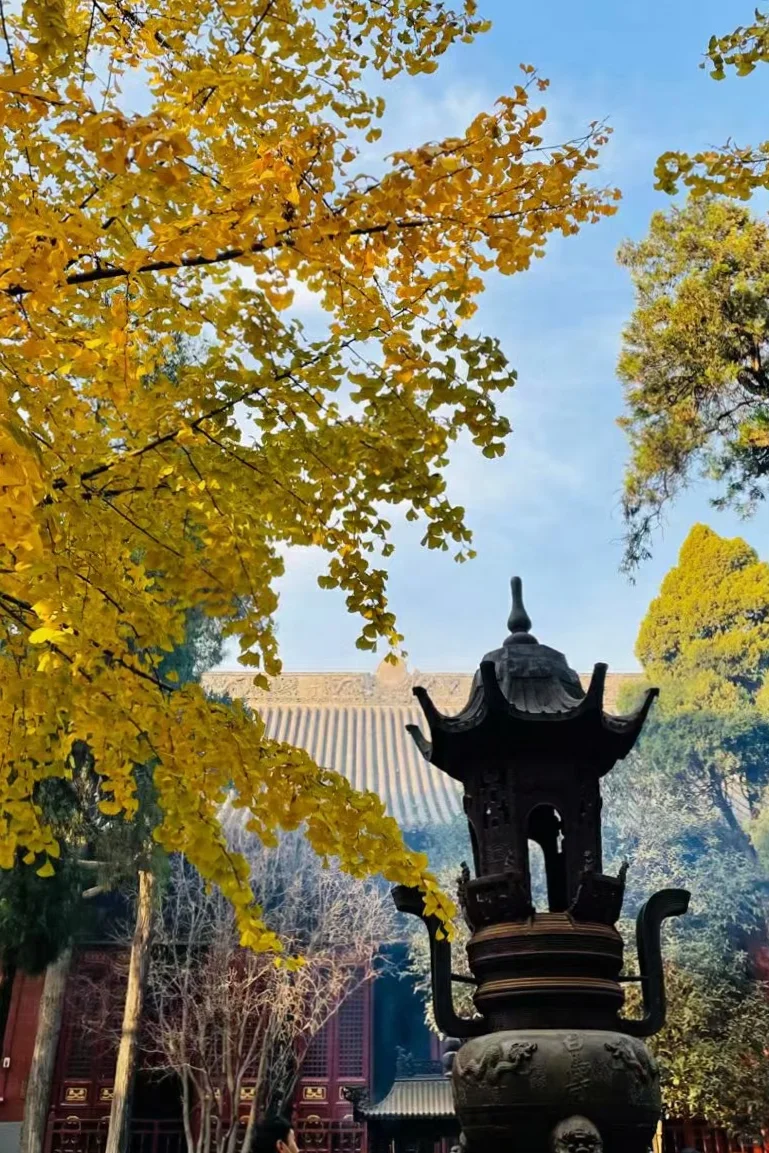 用洛阳文旅券订房须知！12月4日