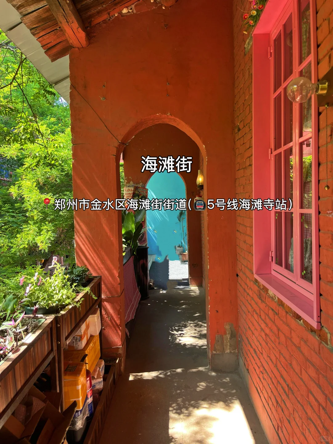 9-10🈷️来郑州到底该去哪，一篇超全概括！