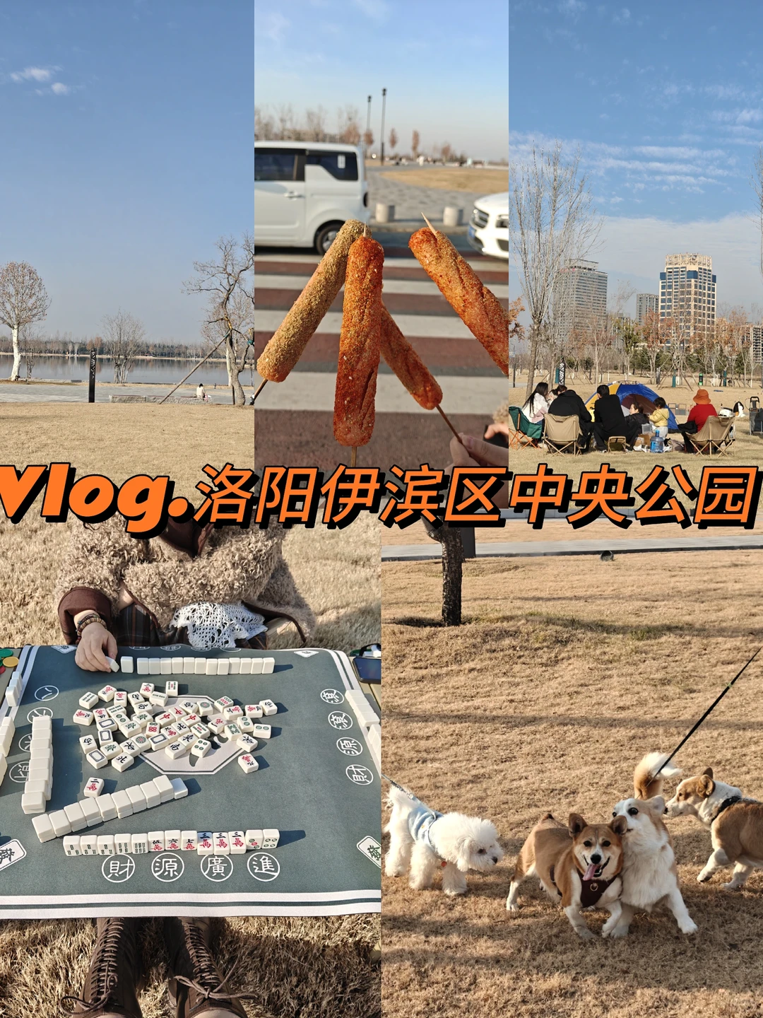 洛阳周末放松还得是公园啊～