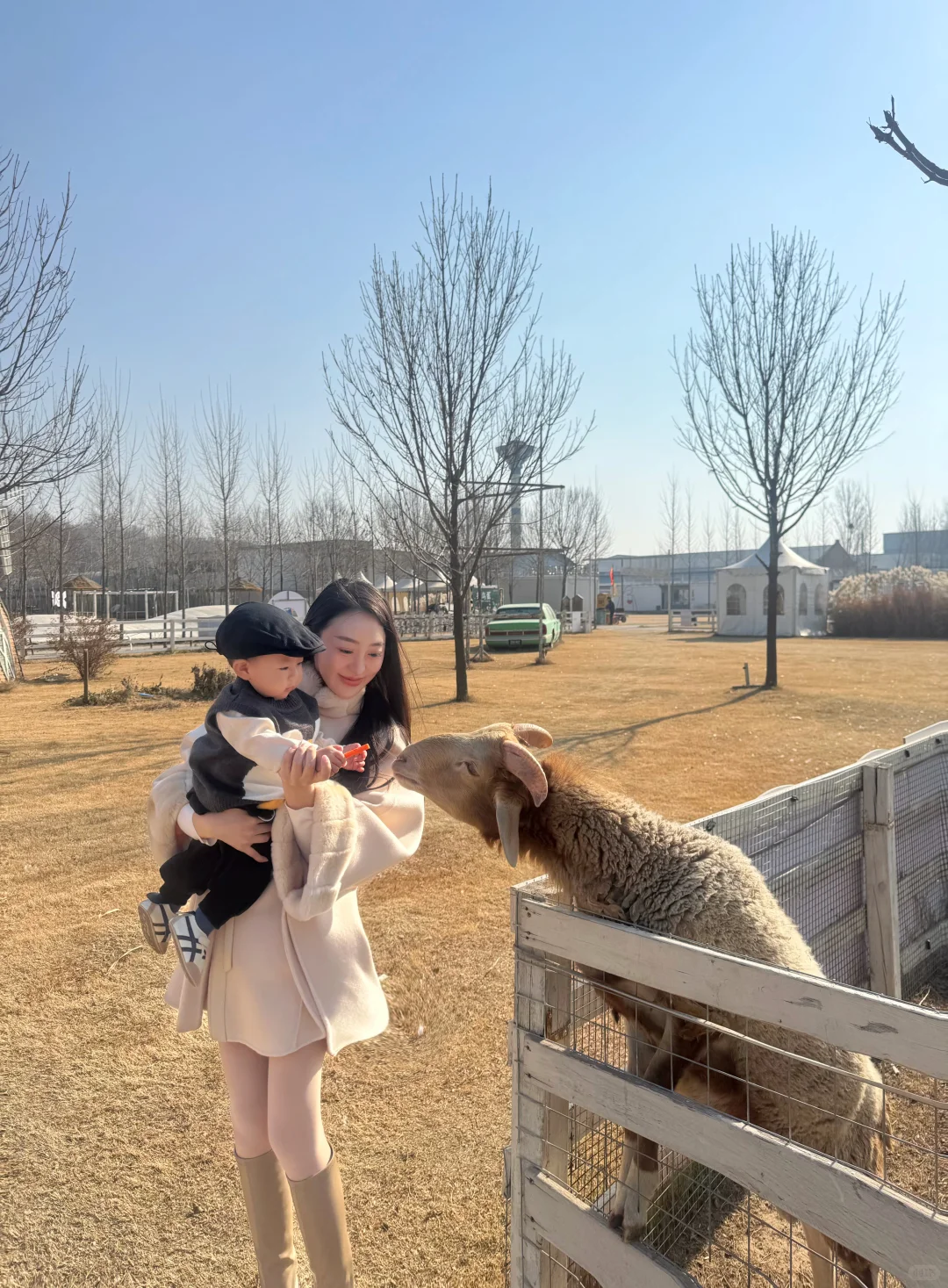 郑州1h直达的绵羊牧场！溜娃宝地！！！