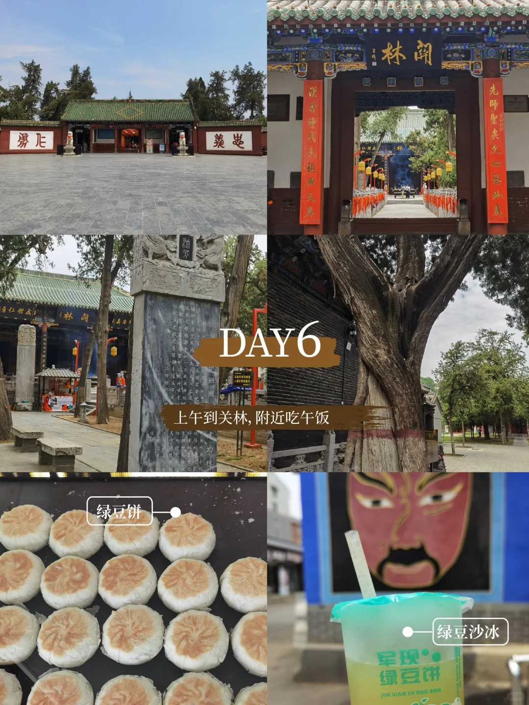 河南|郑州-洛阳-开封7天6晚旅行攻略干货