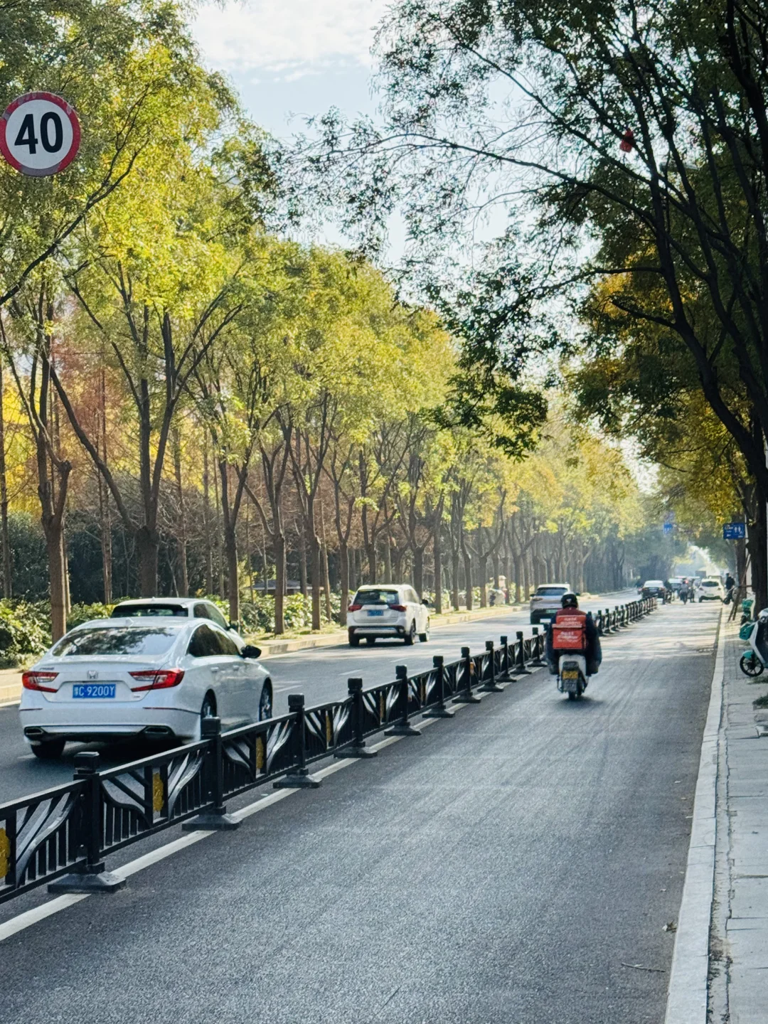 洛阳，绿化带比车道还宽啊