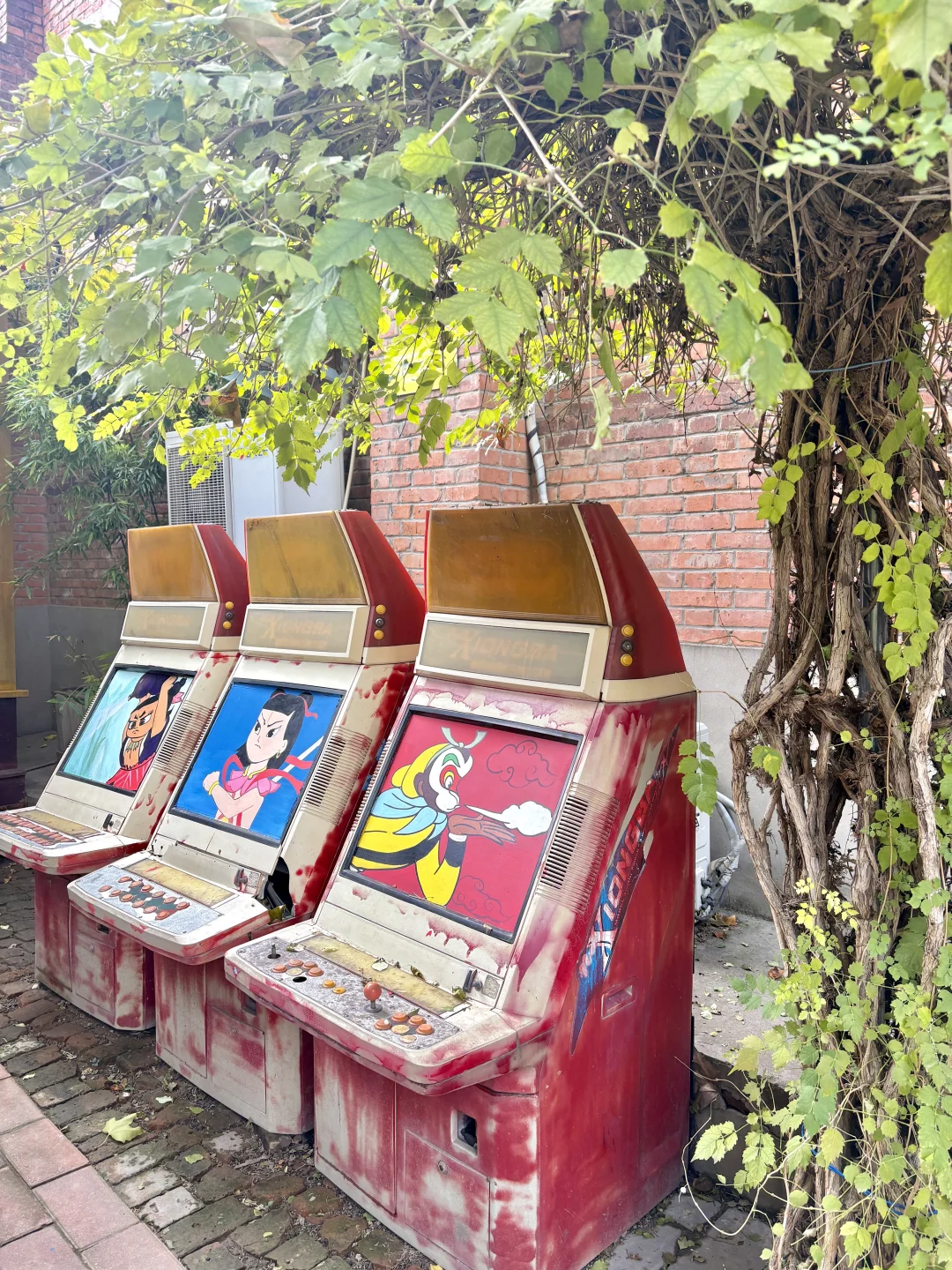 女大郑州一日游攻略📝 人均200米