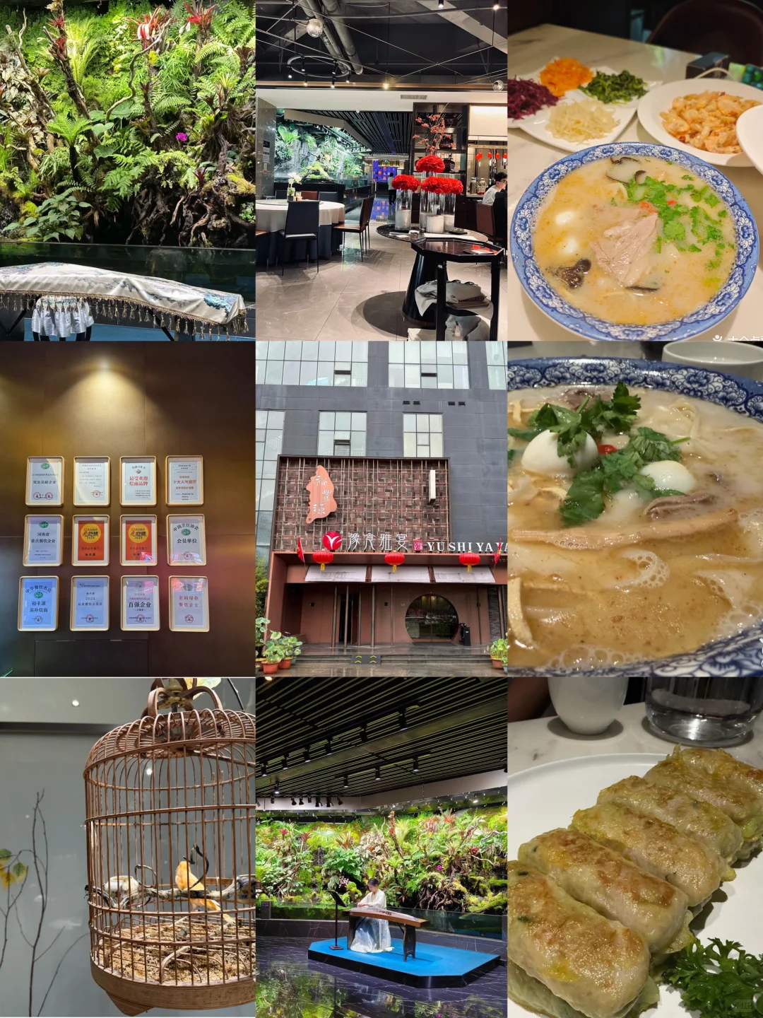 郑州一日游封神路线🌟：吃到爽还能拍大片