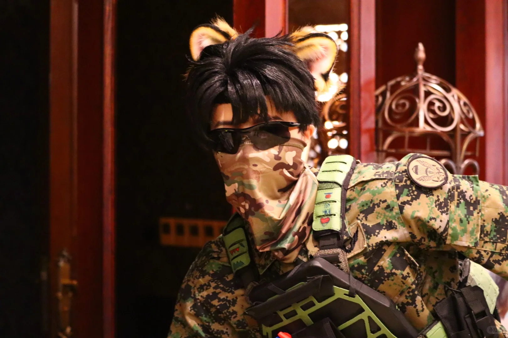 郑州codo自由行申请