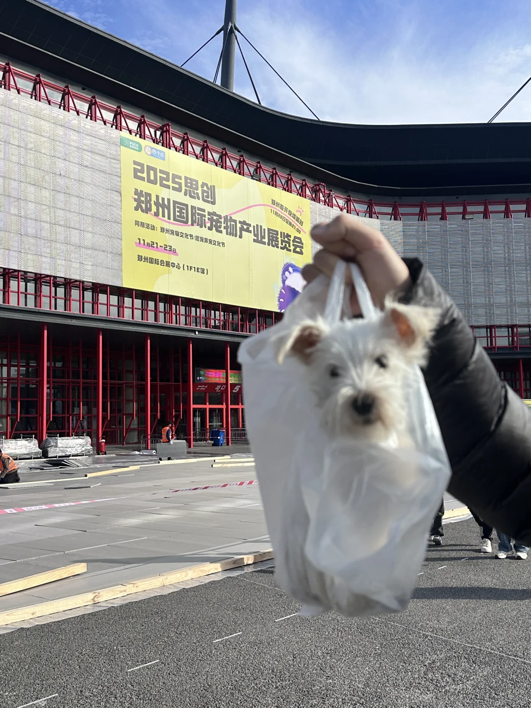 郑州宠物展战绩