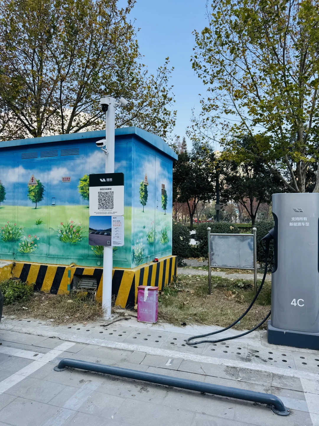 洛阳，绿化带比车道还宽啊