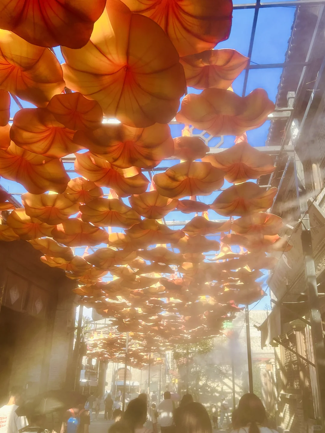 2025最喜欢的城市！郑州三天两夜游玩攻略📝