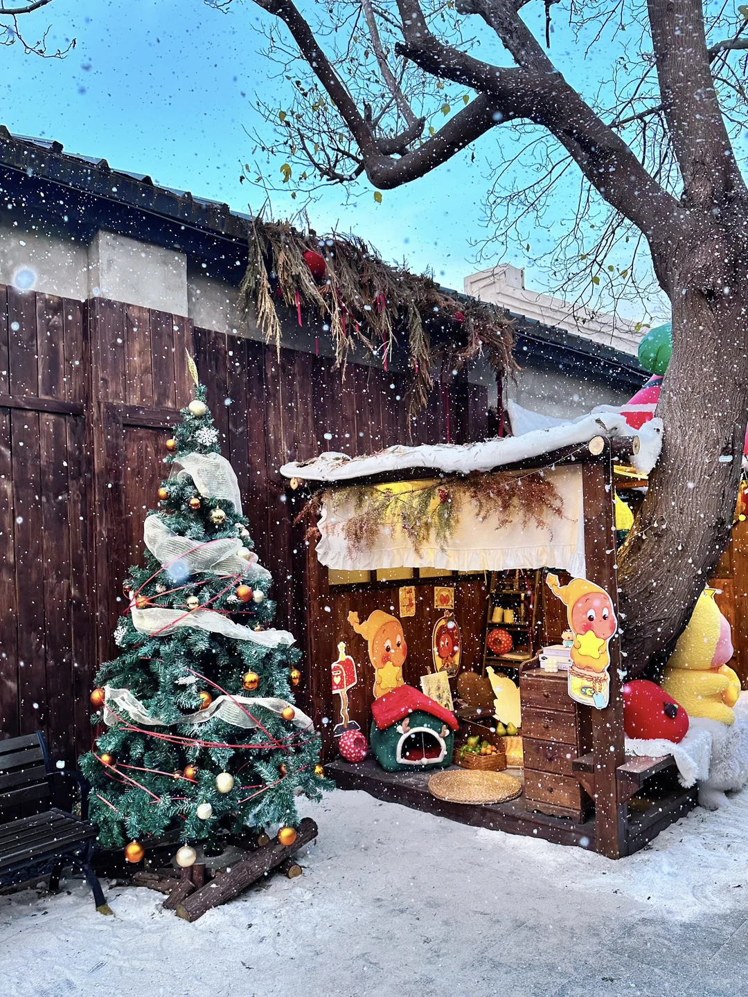 真的是洛阳！！12.6下雪咯 太太太美了❄️