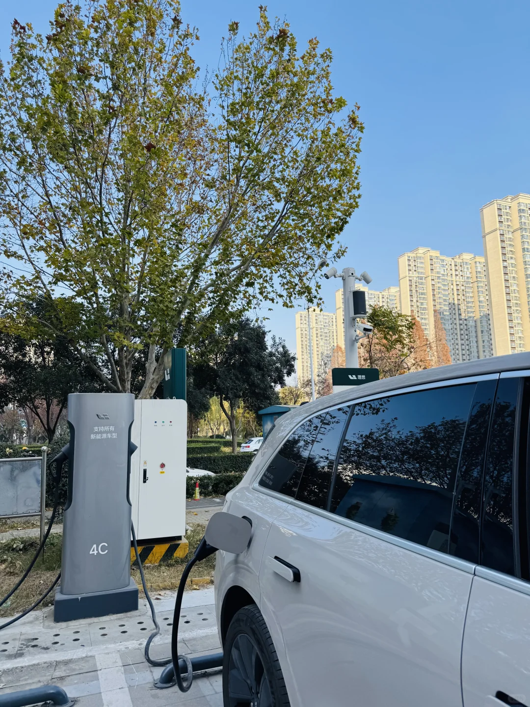 洛阳，绿化带比车道还宽啊