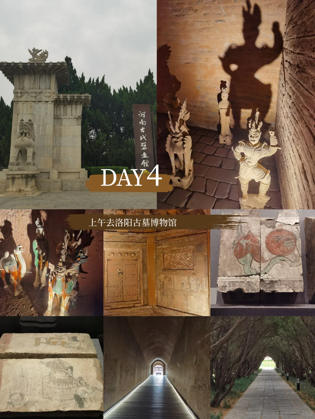 河南|郑州-洛阳-开封7天6晚旅行攻略干货