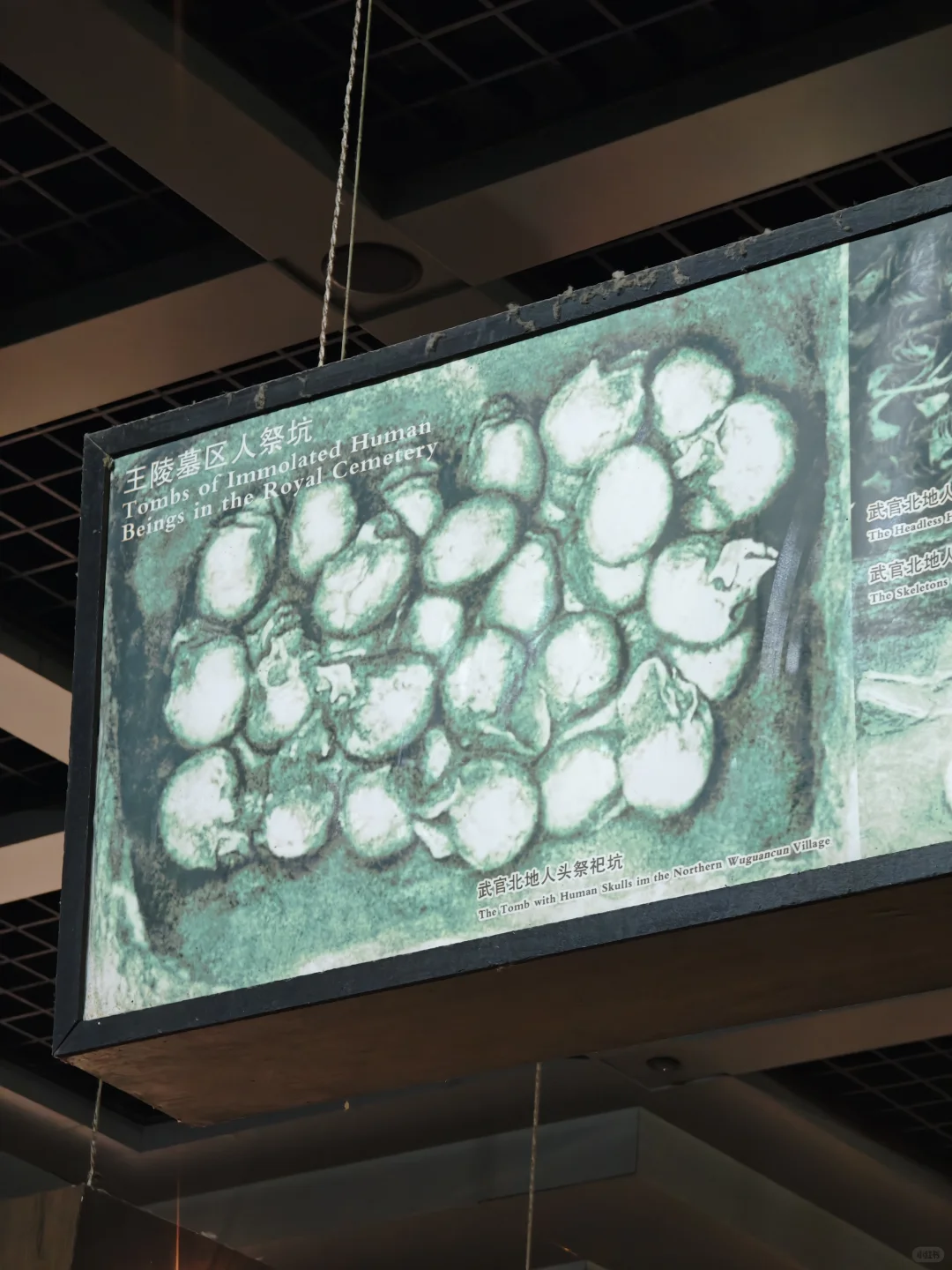 安阳是继巴黎之后见过💀最多的地方