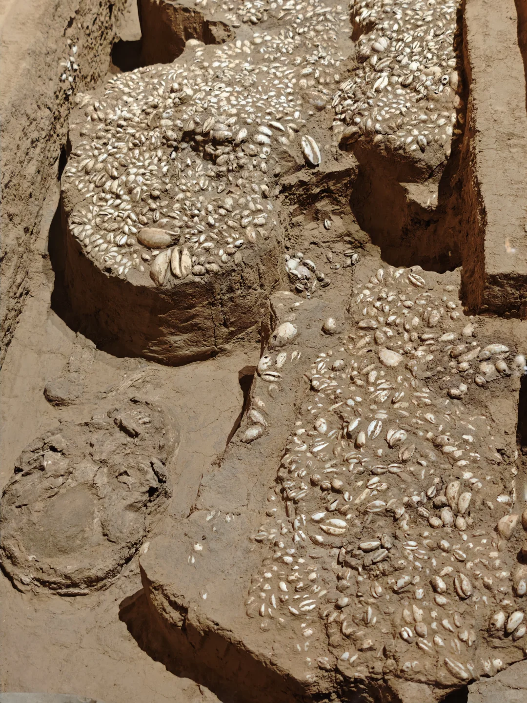 安阳是继巴黎之后见过💀最多的地方