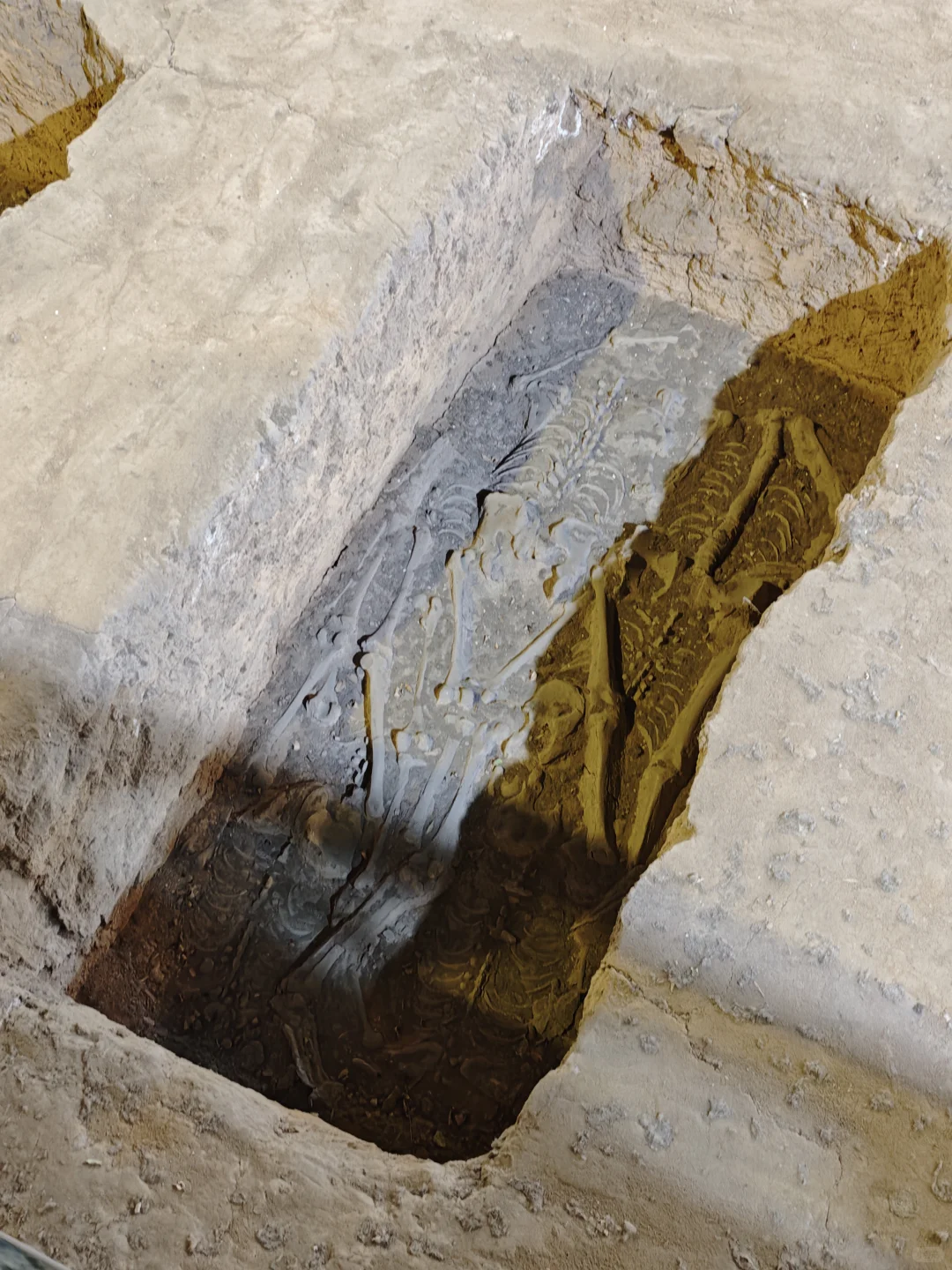 安阳是继巴黎之后见过💀最多的地方