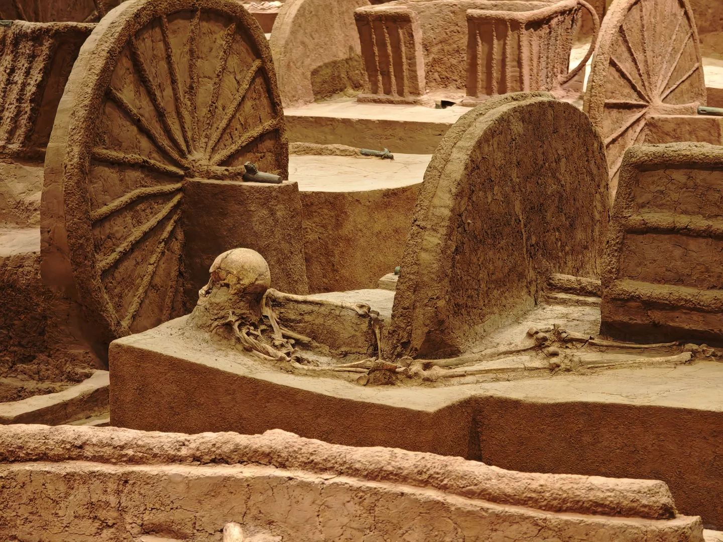 安阳是继巴黎之后见过💀最多的地方