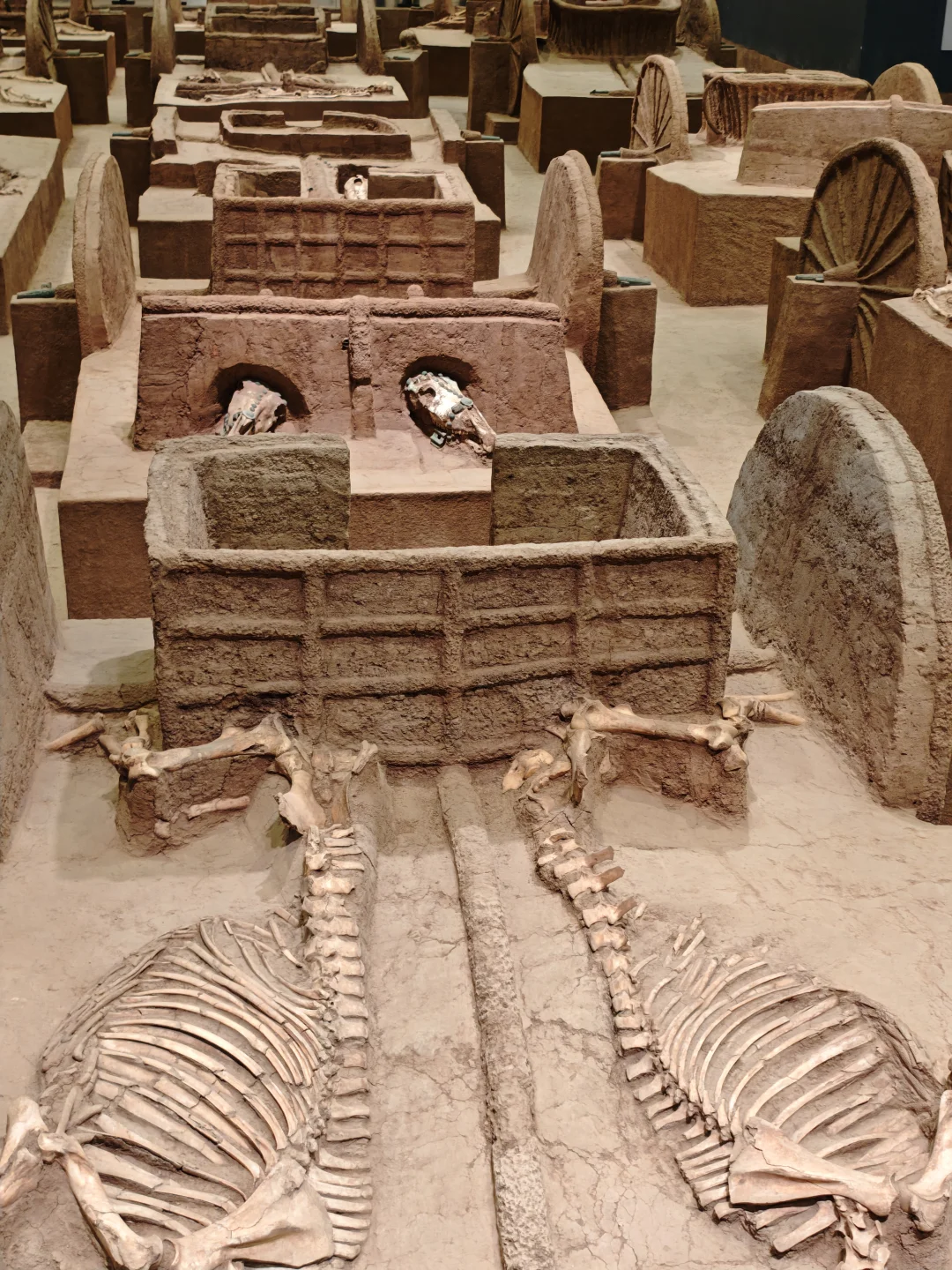 安阳是继巴黎之后见过💀最多的地方