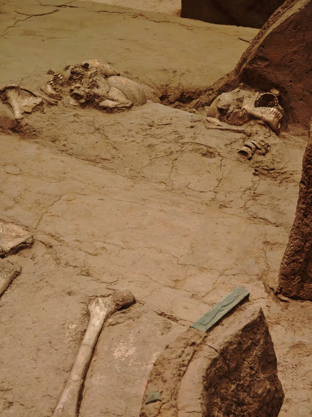 安阳是继巴黎之后见过💀最多的地方