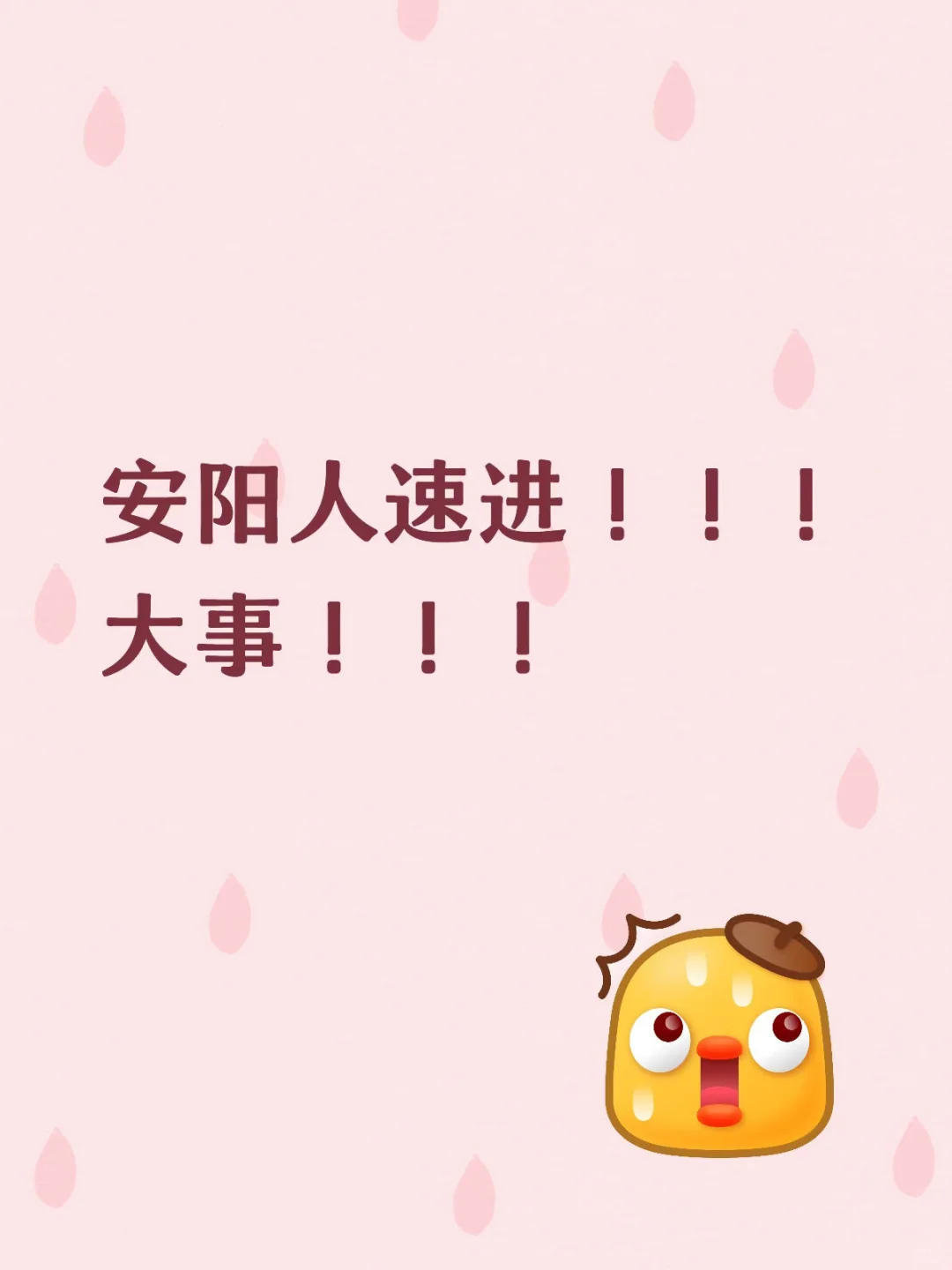 安阳人速进！！！大事！！！