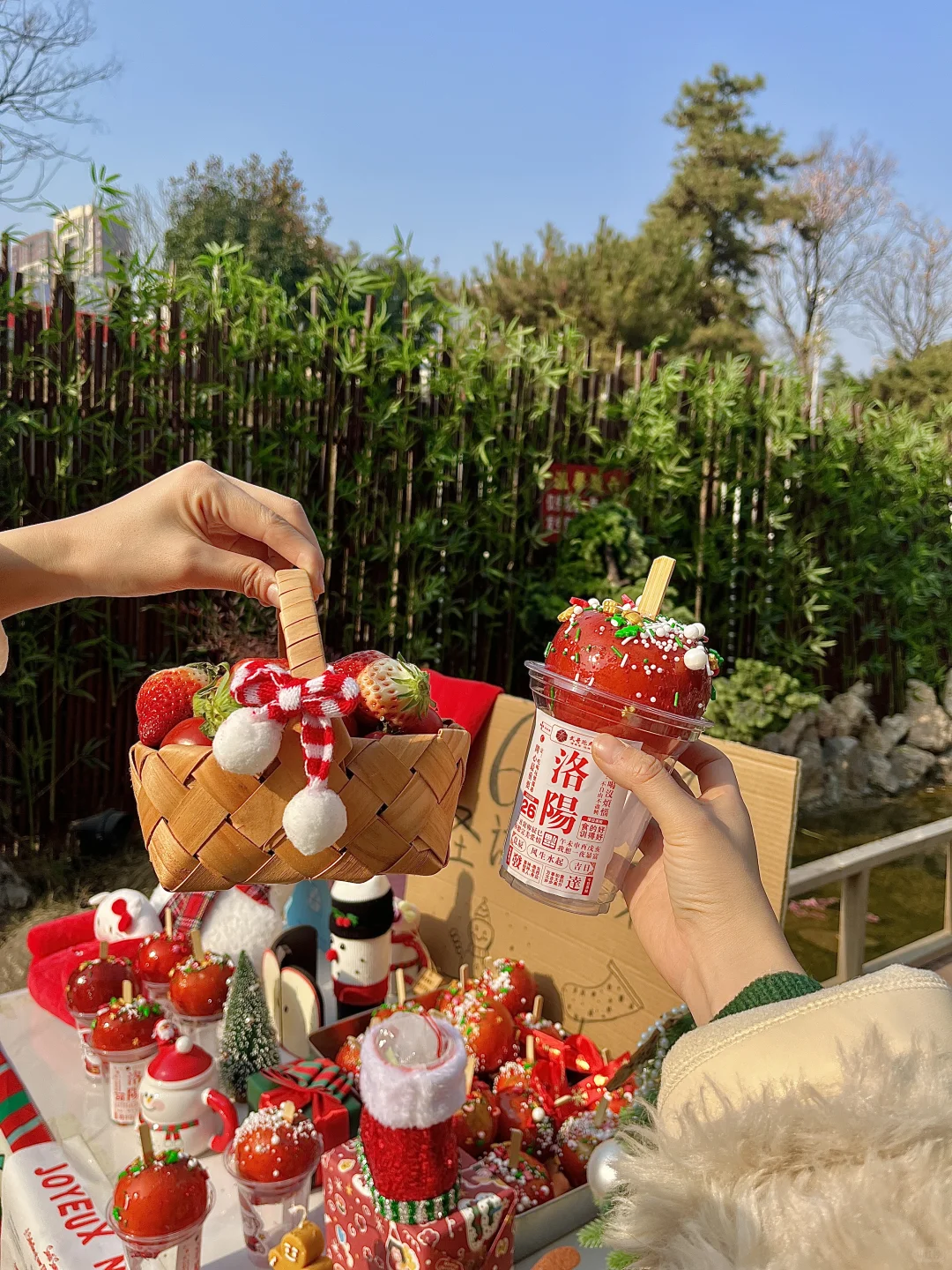 洛阳你果然是大城市啊啊啊啊！！