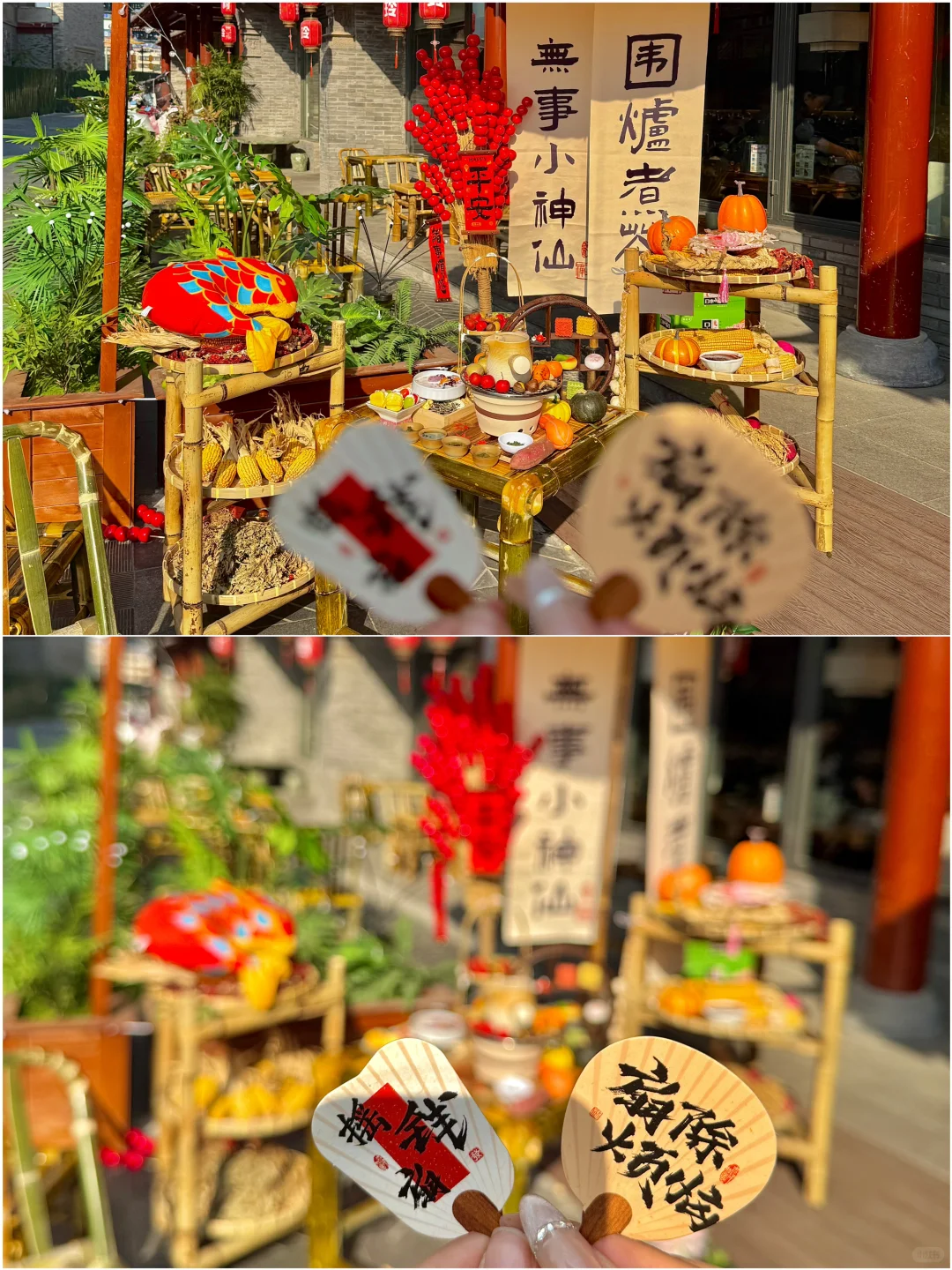 🍵没在北京，在洛阳胡同享受阳光☀️