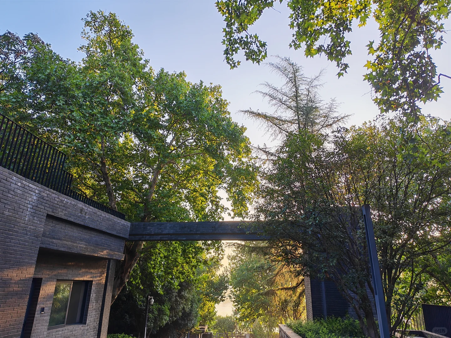 洛阳时！处处是生活