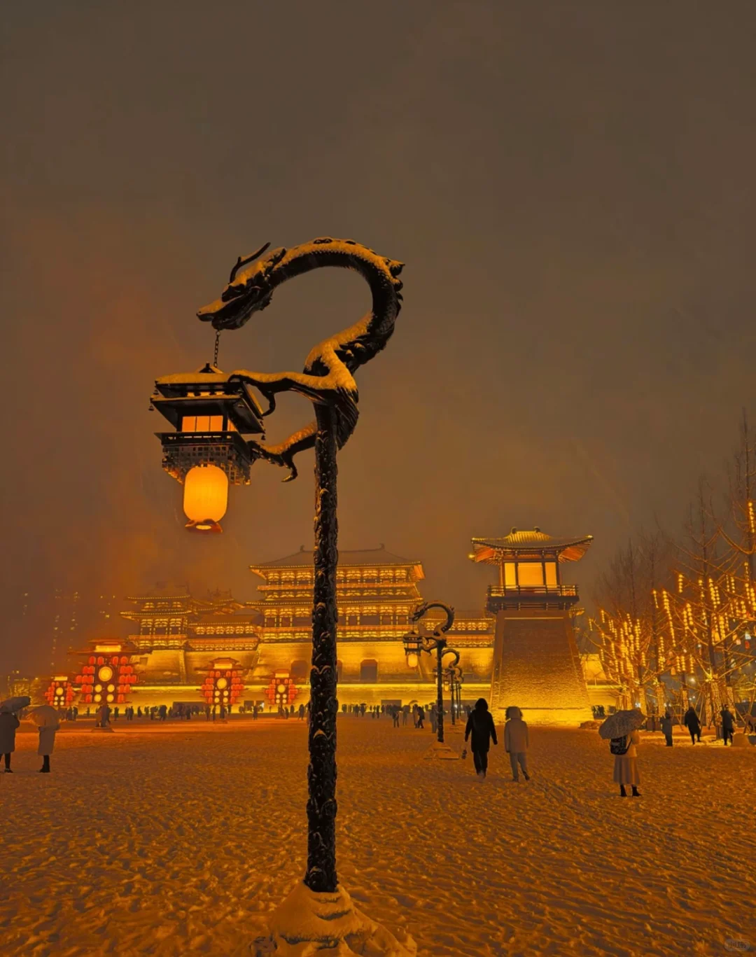 洛阳的大雪会来吗