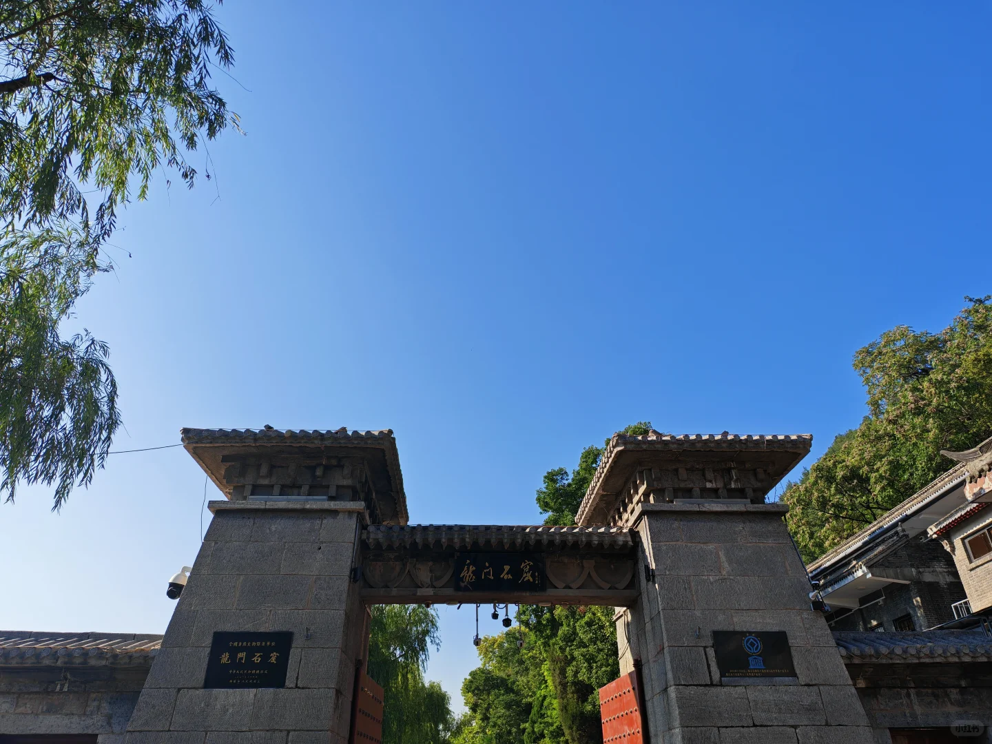 洛阳时！处处是生活