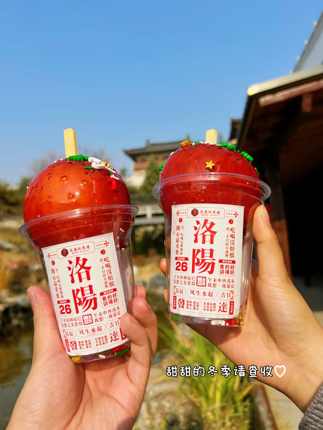 洛阳！！终于有了！！圣诞糖苹果很好吃～