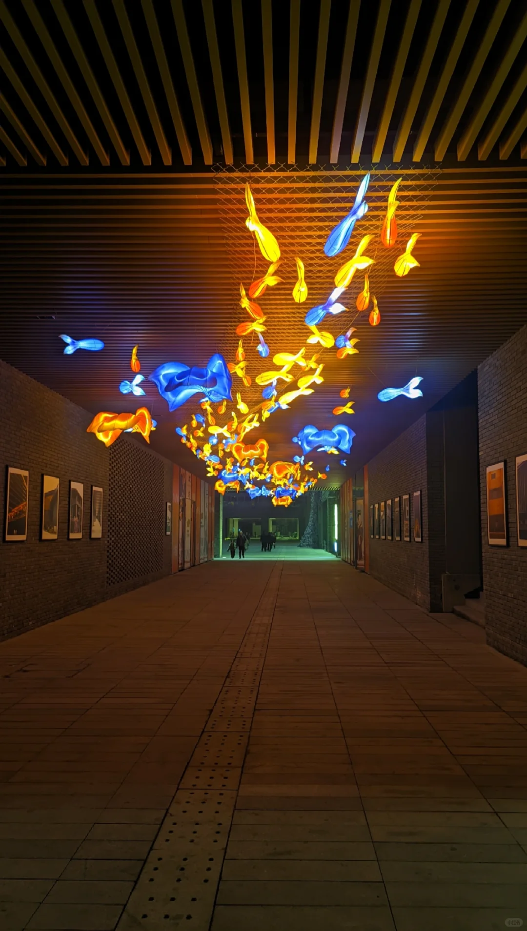 洛阳必看！穿越8000年的沉浸式文明暴击✨