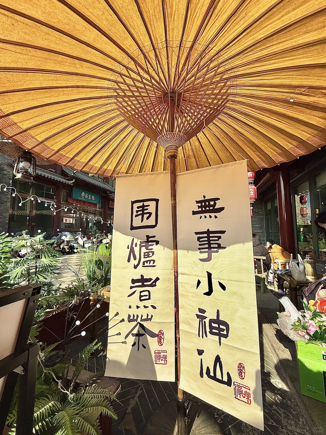 🍵没在北京，在洛阳胡同享受阳光☀️