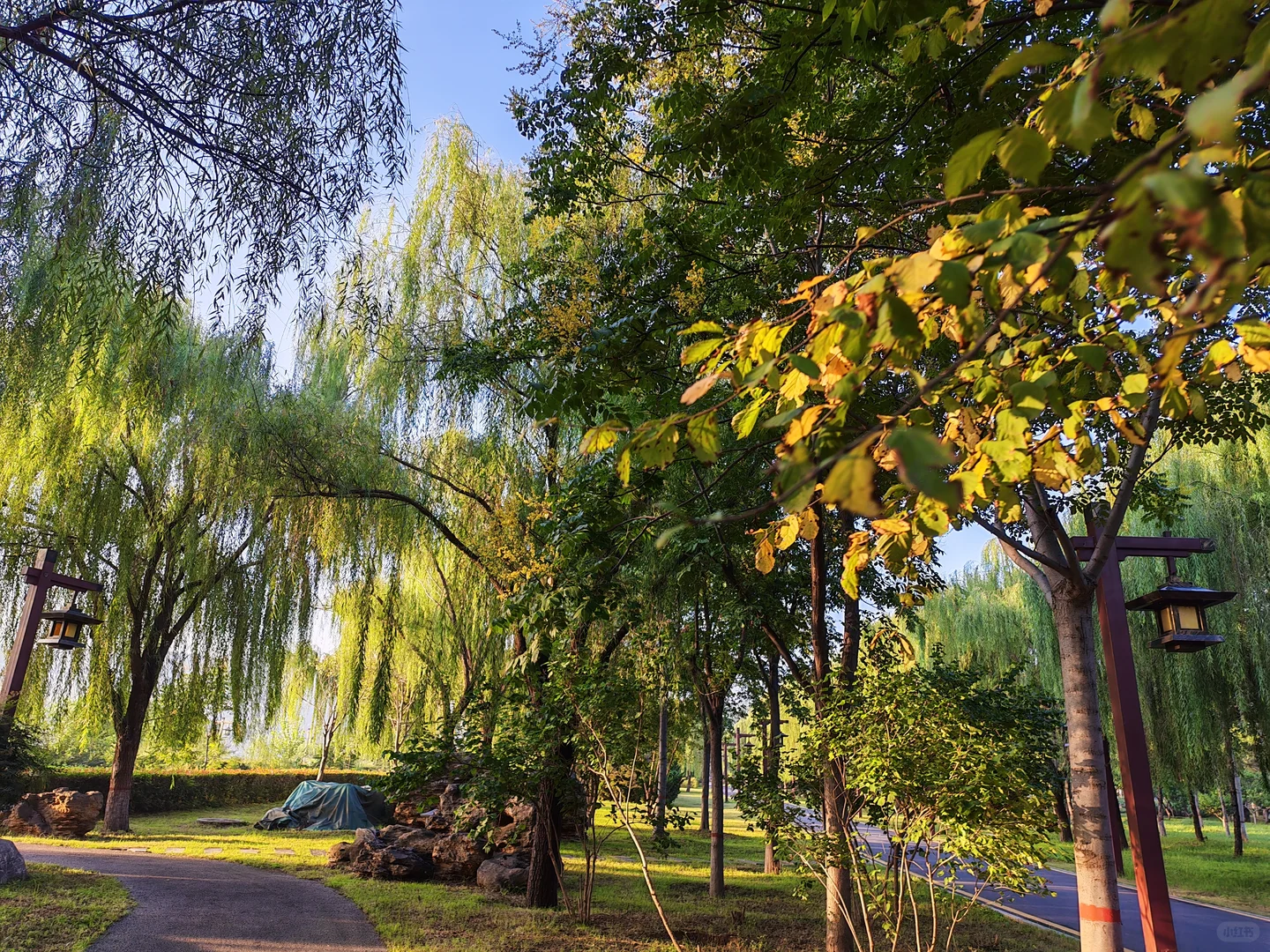 洛阳时！处处是生活