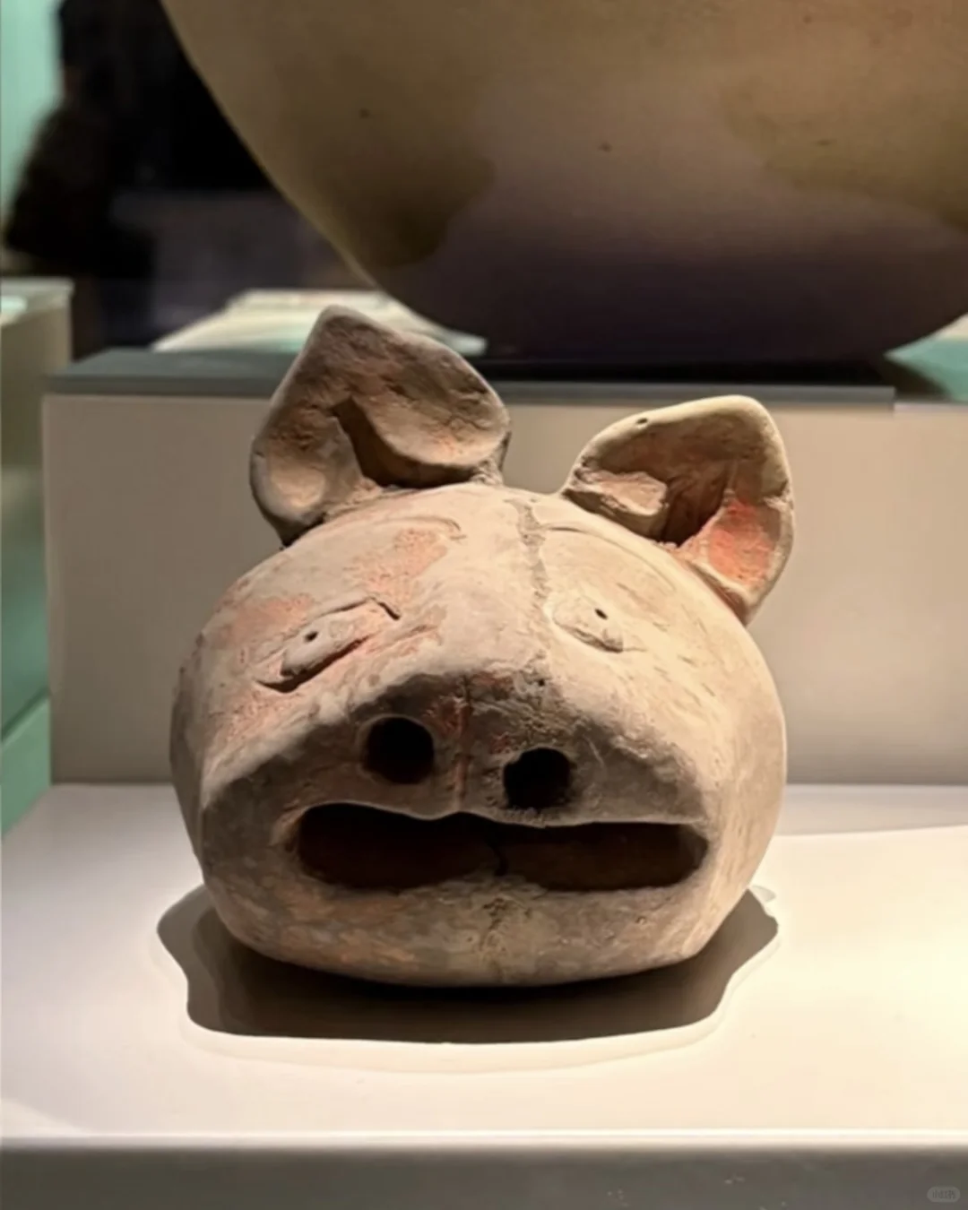 在3000年前的甲骨文里，摸到了商王朝的心跳