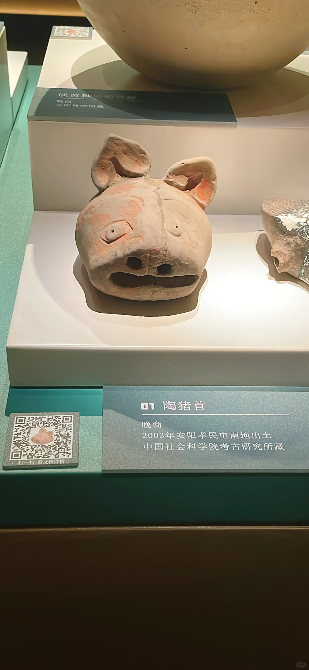 周末特种兵旅行🧳逃离天津48h:安阳(13/50)